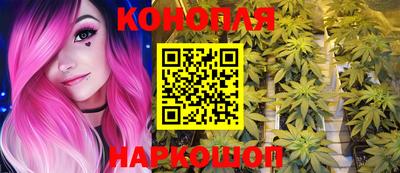 соль ск Новодвинск