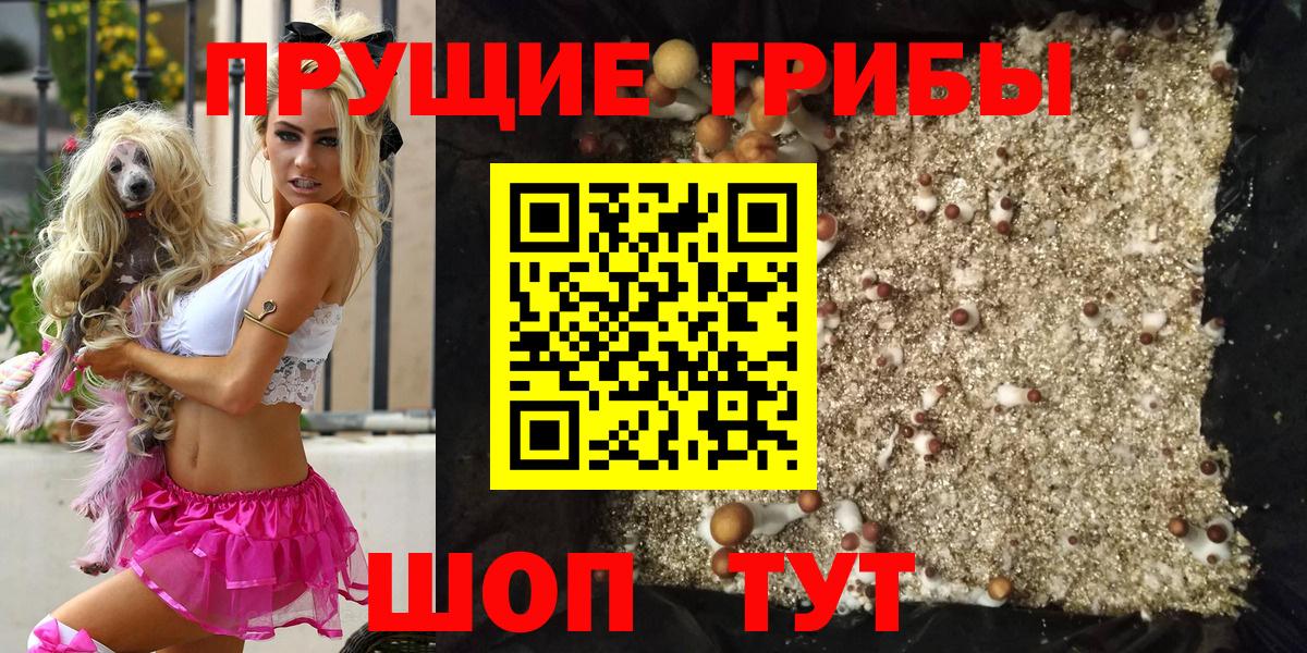 Галлюциногенные грибы мицелий  Вход с VPN  Шебекино  Псилоцибиновые грибы Magic Shrooms 